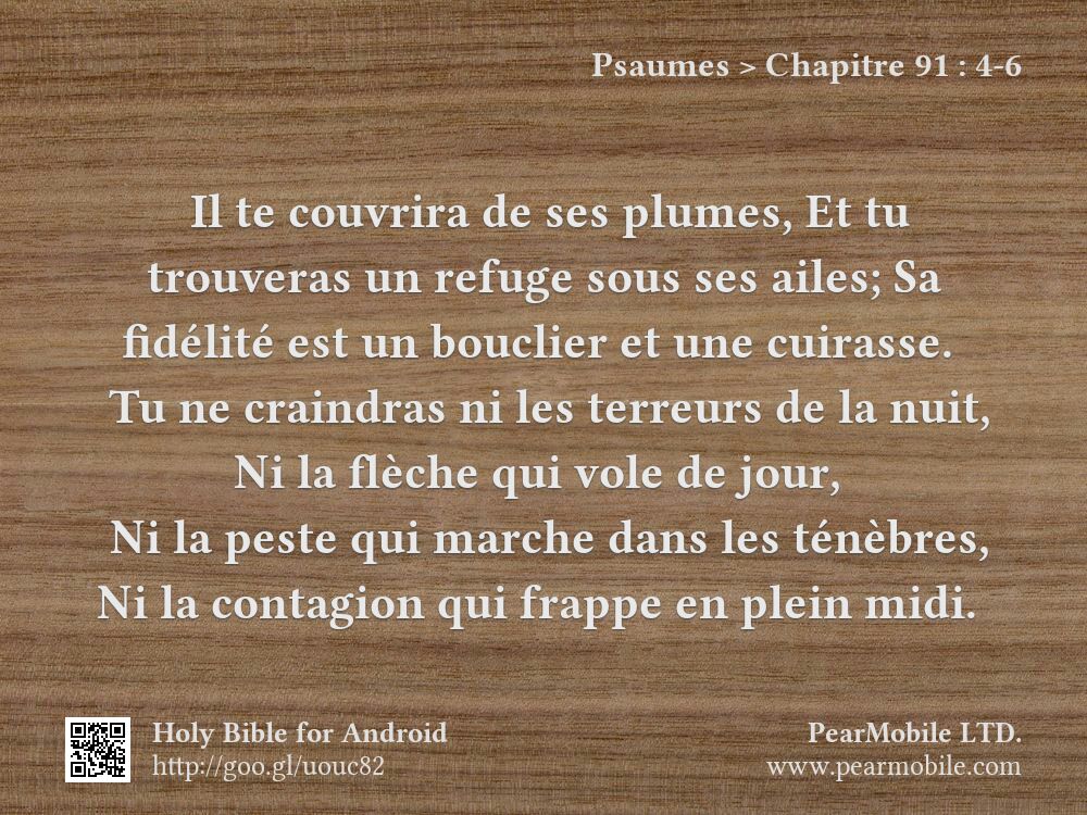 Psaumes, Chapitre 91:4-6